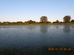 DSCN4576.JPG