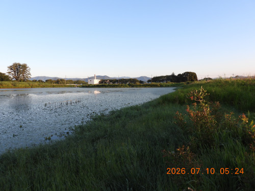 DSCN4577.JPG