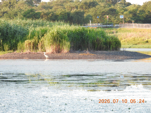 DSCN4581.JPG