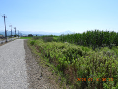 DSCN4626.JPG