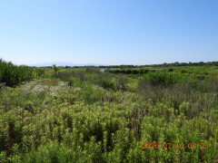 DSCN4627.JPG