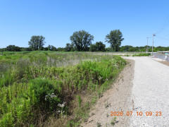 DSCN4628.JPG