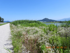 DSCN4629.JPG