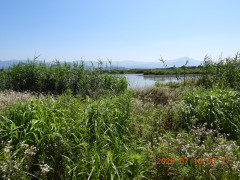 DSCN4630.JPG