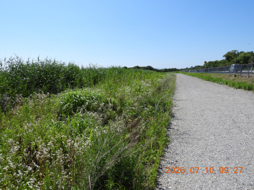 DSCN4631.JPG