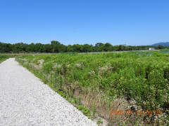 DSCN4640.JPG