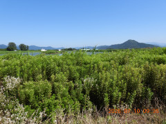 DSCN4641.JPG