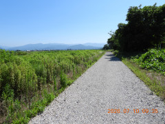 DSCN4642.JPG