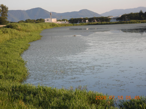 DSCN4586.JPG