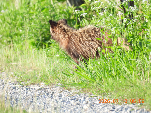 DSCN4601.JPG