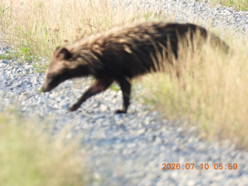 DSCN4602.JPG