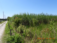DSCN4643.JPG