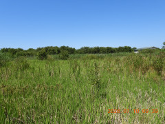 DSCN4644.JPG