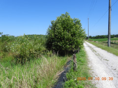 DSCN4645.JPG