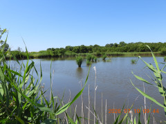 DSCN4646.JPG