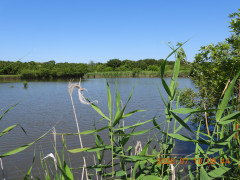 DSCN4647.JPG