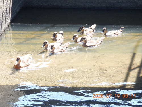 DSCN4611.JPG