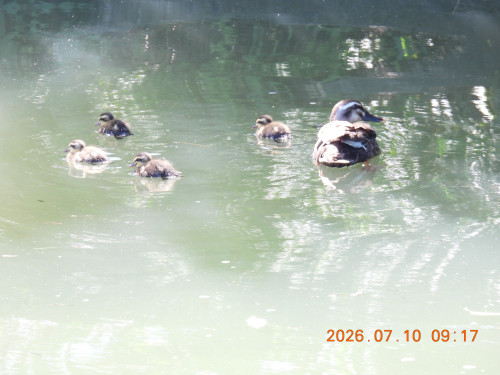 DSCN4622.JPG