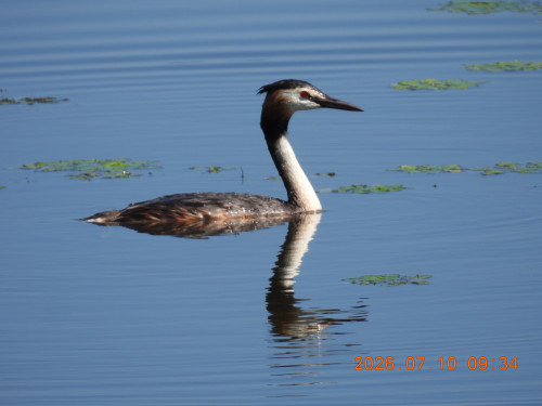 DSCN4639.JPG