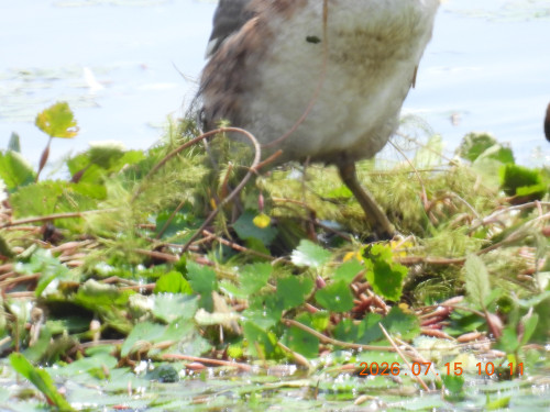 DSCN4702.JPG