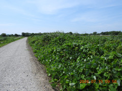 DSCN4689.JPG