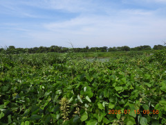 DSCN4690.JPG