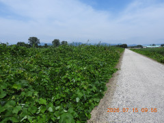 DSCN4691.JPG