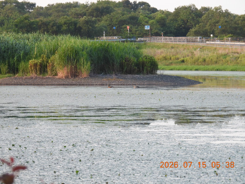 DSCN4652.JPG