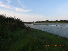 DSCN4649.JPG