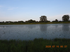 DSCN4650.JPG