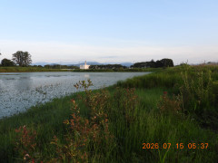 DSCN4651.JPG