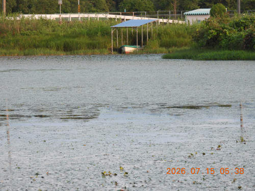 DSCN4653.JPG