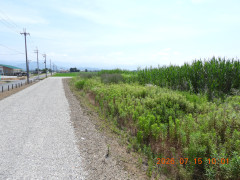 DSCN4692.JPG