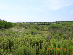 DSCN4693.JPG