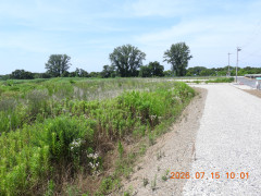 DSCN4694.JPG