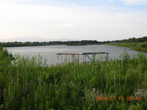 DSCN4654.JPG