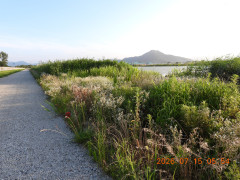 DSCN4656.JPG