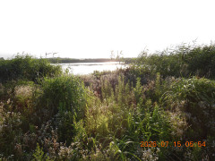 DSCN4657.JPG