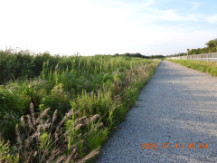 DSCN4658.JPG