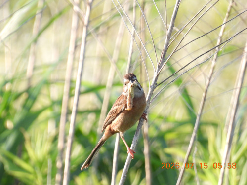 DSCN4661.JPG