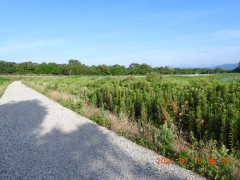 DSCN4683.JPG