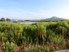 DSCN4684.JPG