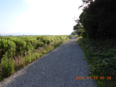 DSCN4685.JPG
