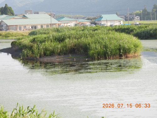 DSCN4677.JPG