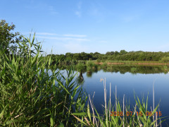 DSCN4671.JPG