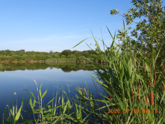 DSCN4672.JPG
