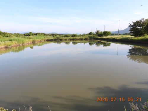 DSCN4676.JPG