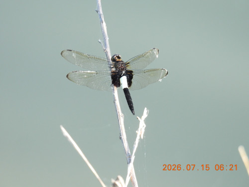 DSCN4675.JPG