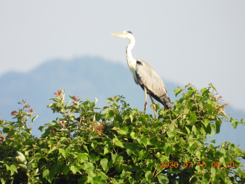DSCN4673.JPG