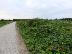 DSCN4720.JPG